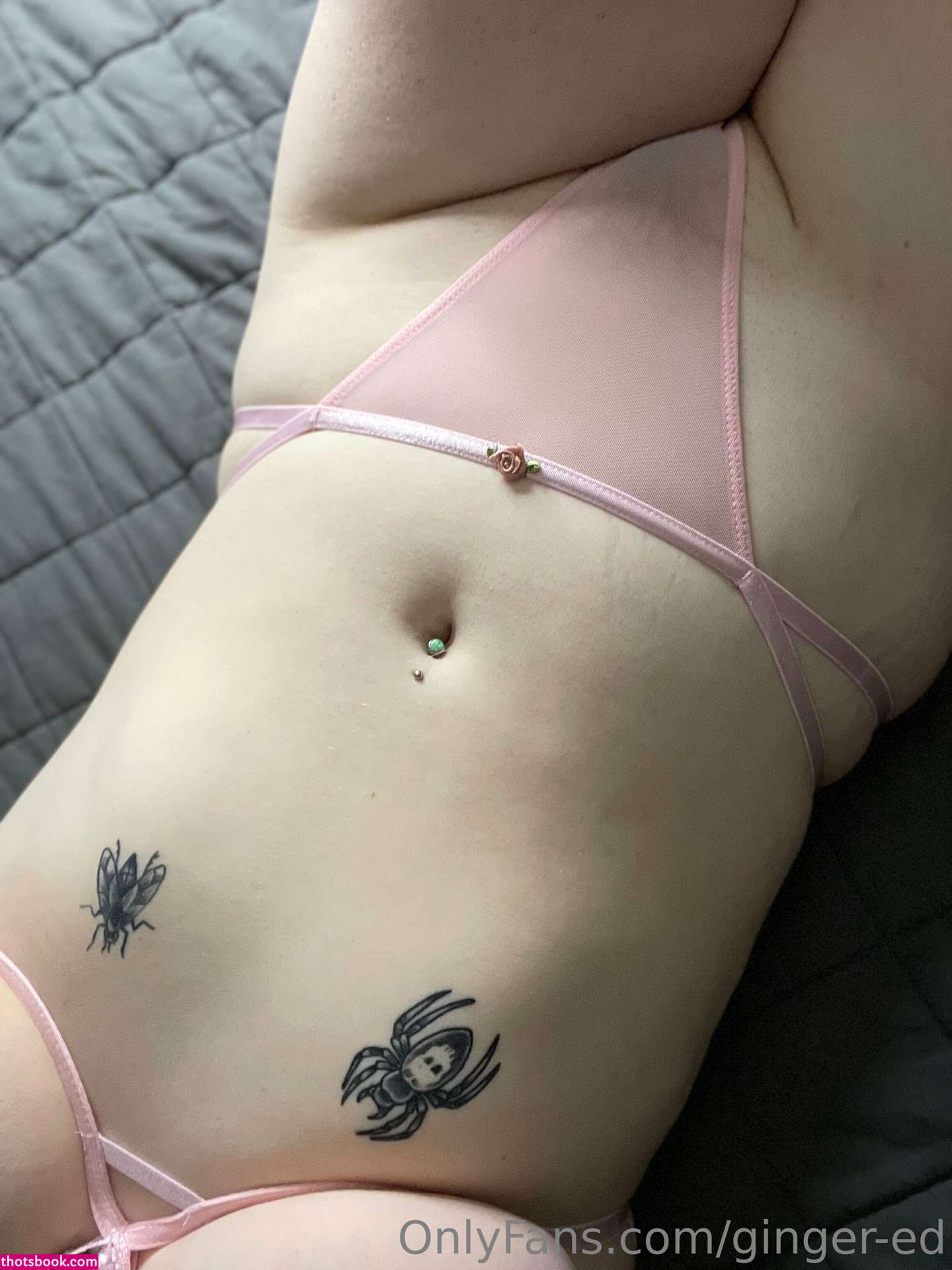 Bluetiernen Photo #63