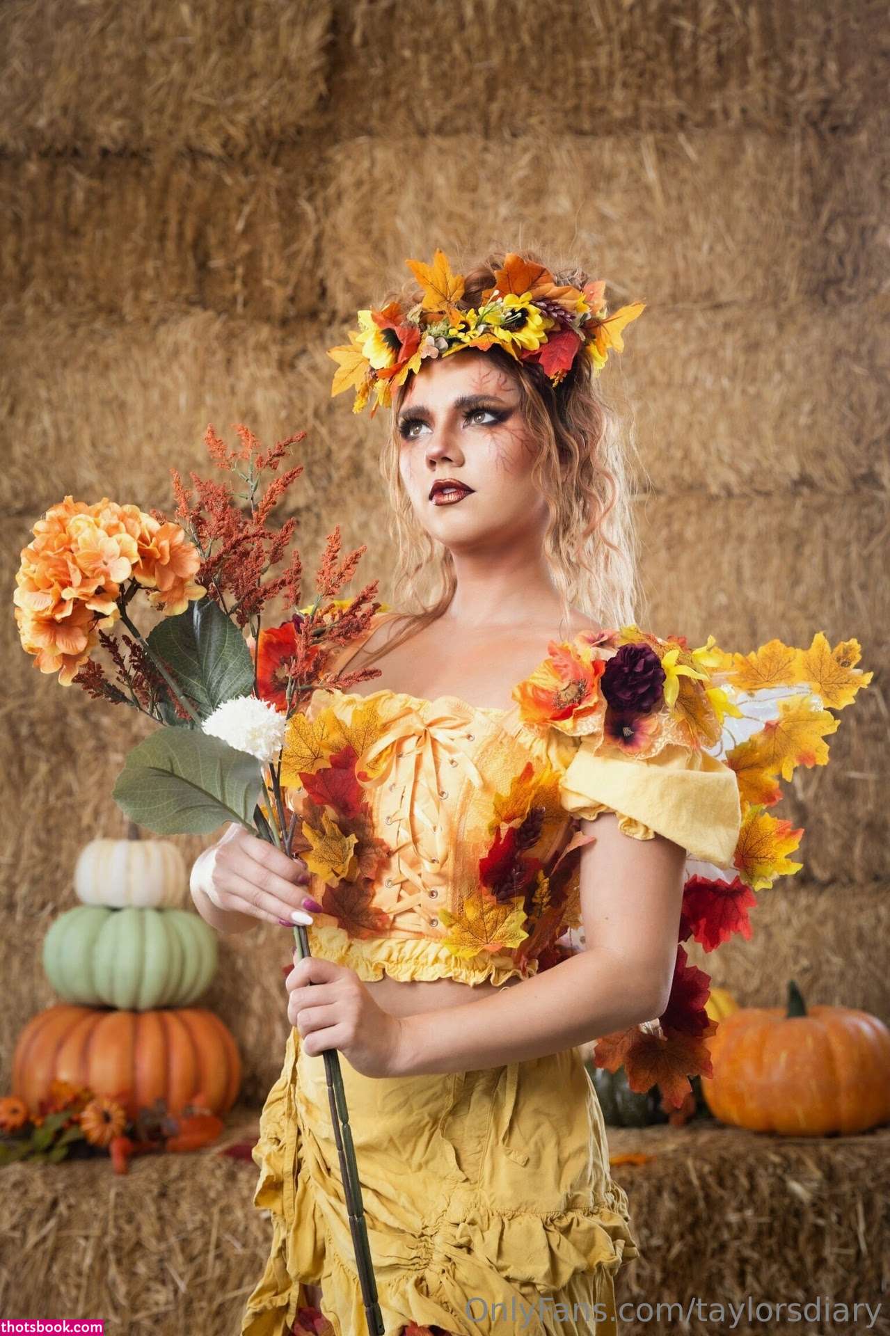 Dare Taylor Photo #712