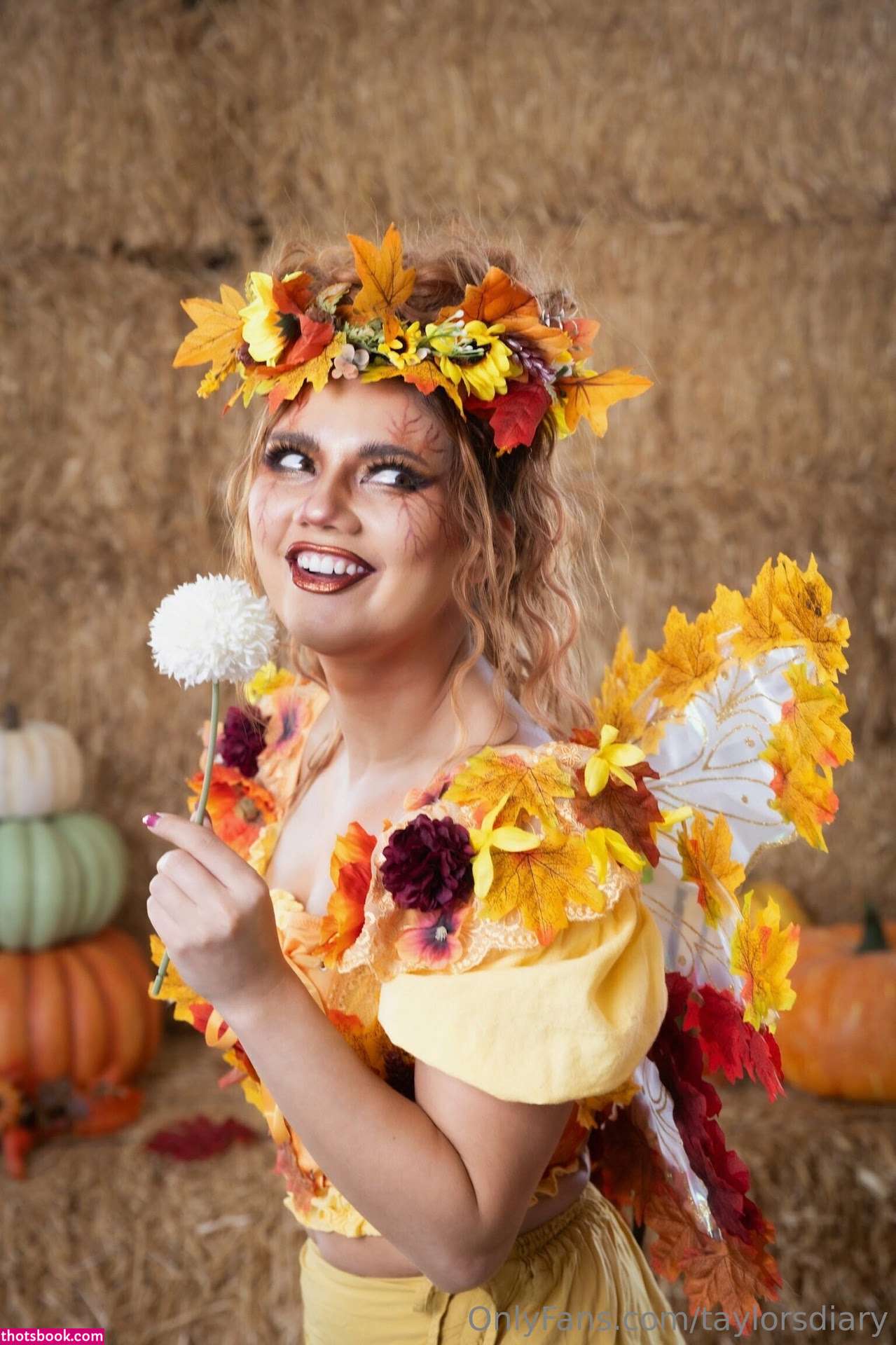 Dare Taylor Photo #718