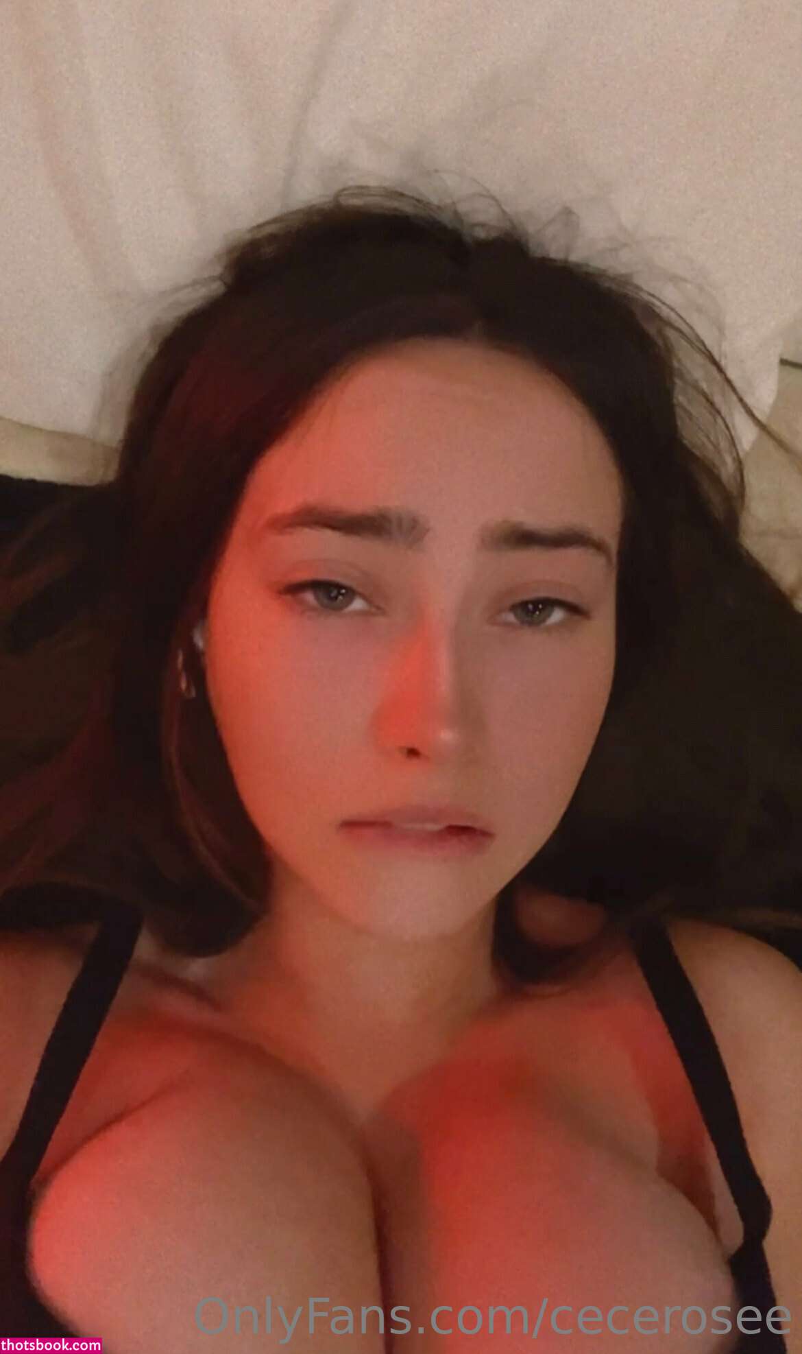 Cece Rose Photo #207