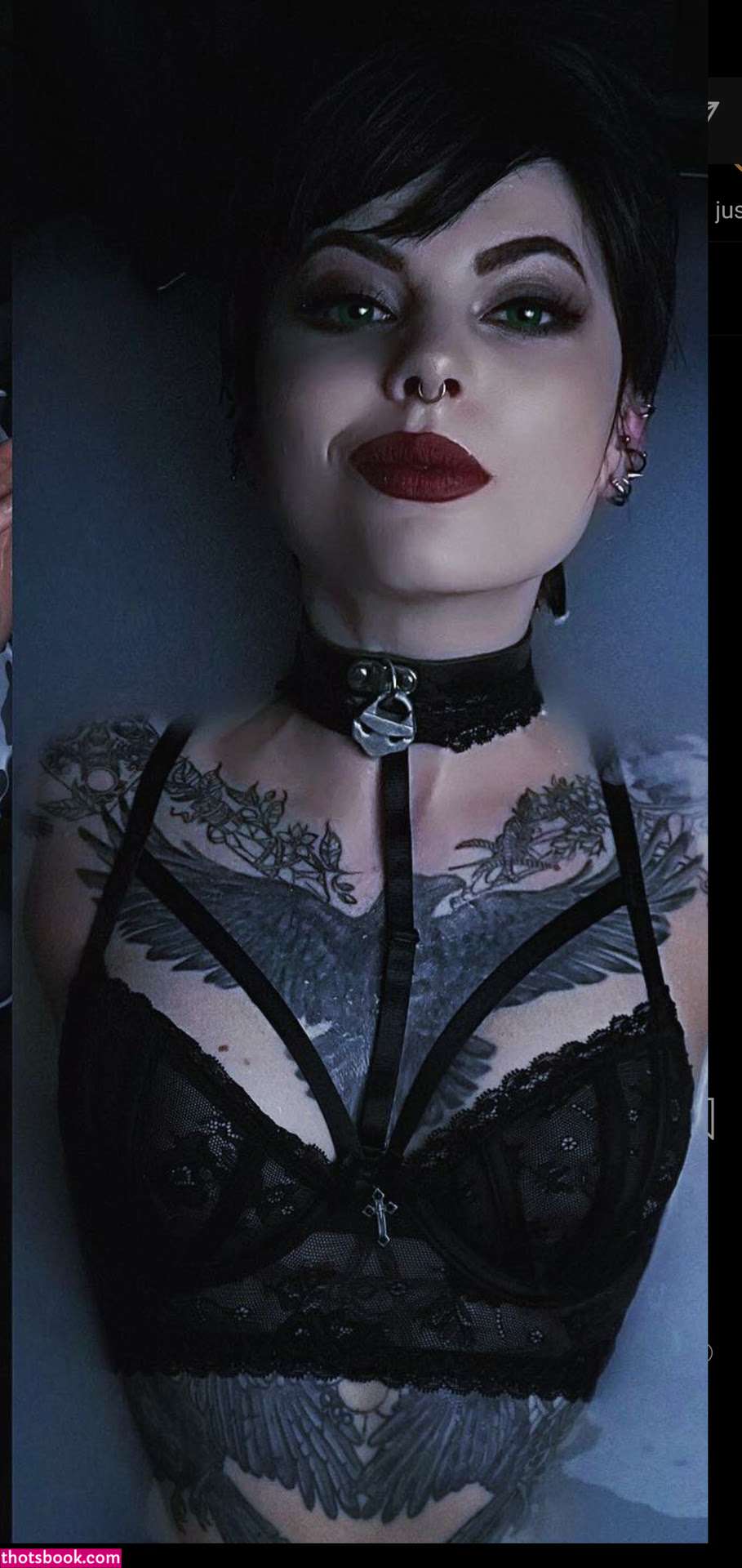 Faerie Blossom Photo #51