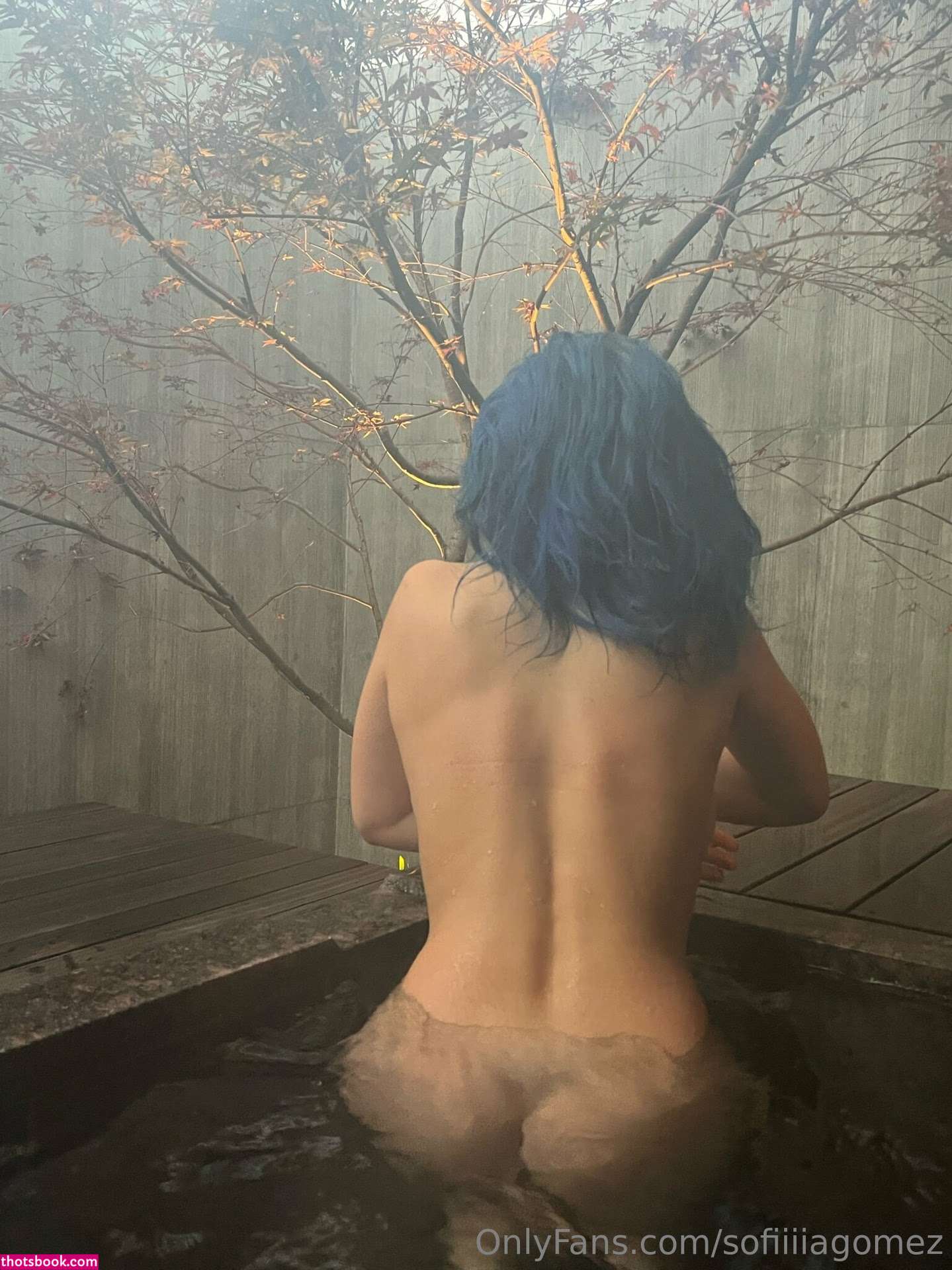 Sofia Gomez Photo #548