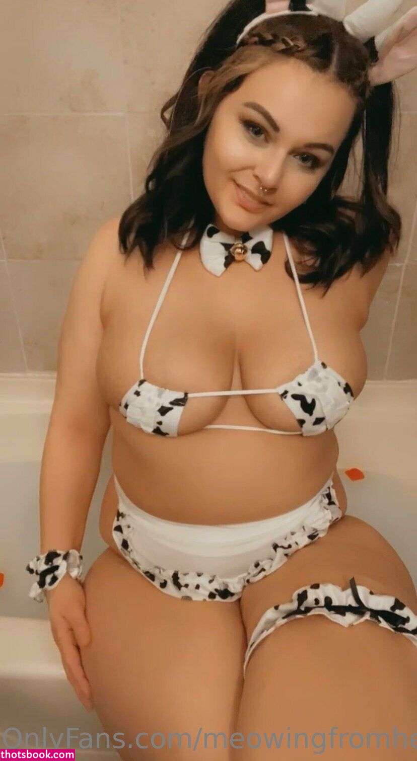 Meowingfromhell Photo #64