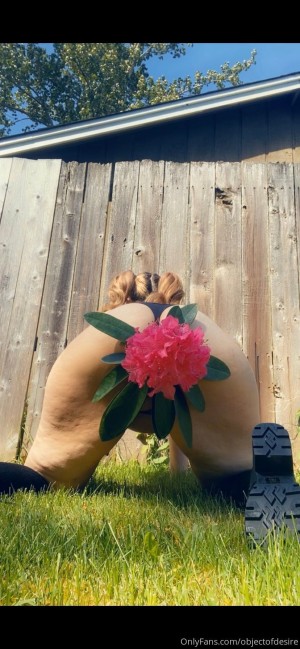 Meowingfromhell Photo #72