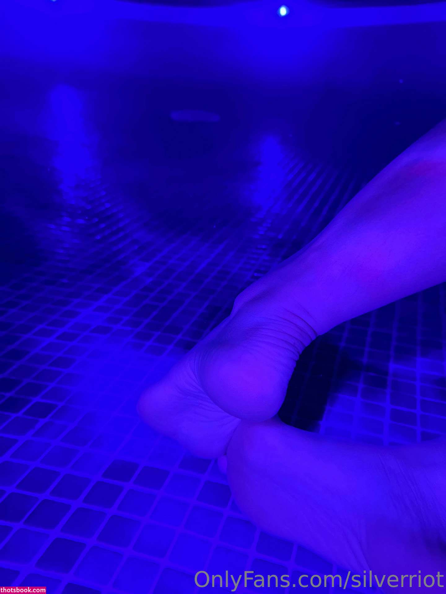 Silverriot Photo #110