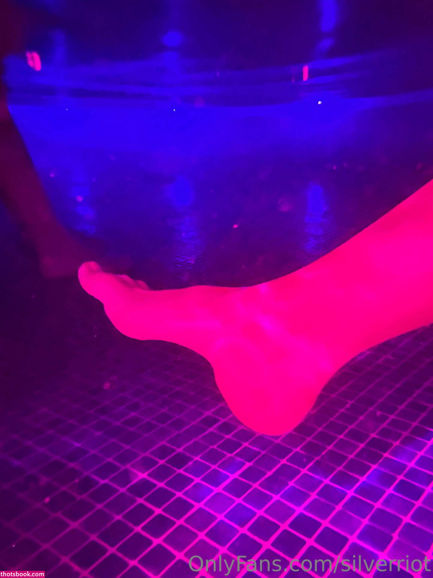 Silverriot Photo #118