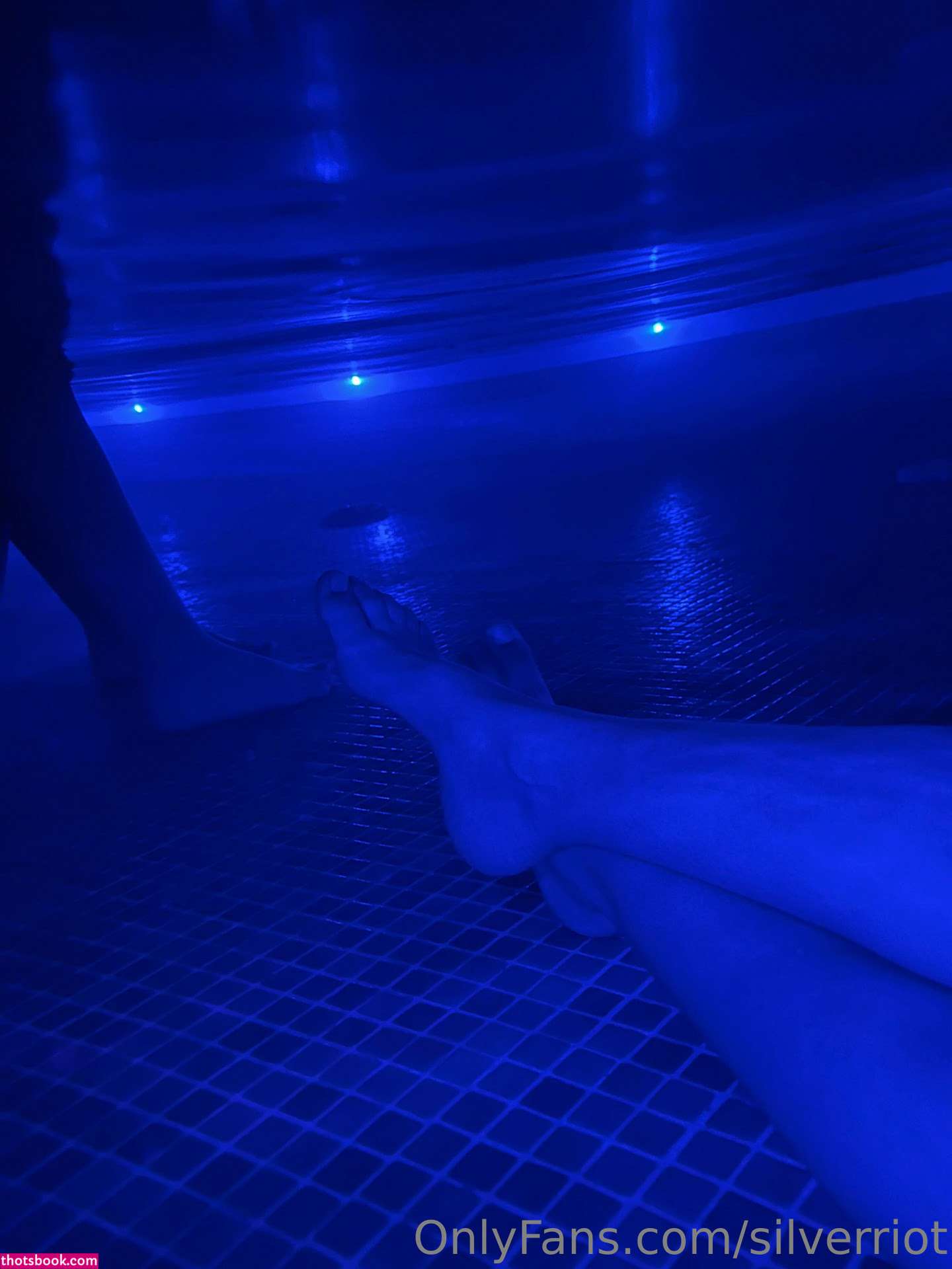 Silverriot Photo #126