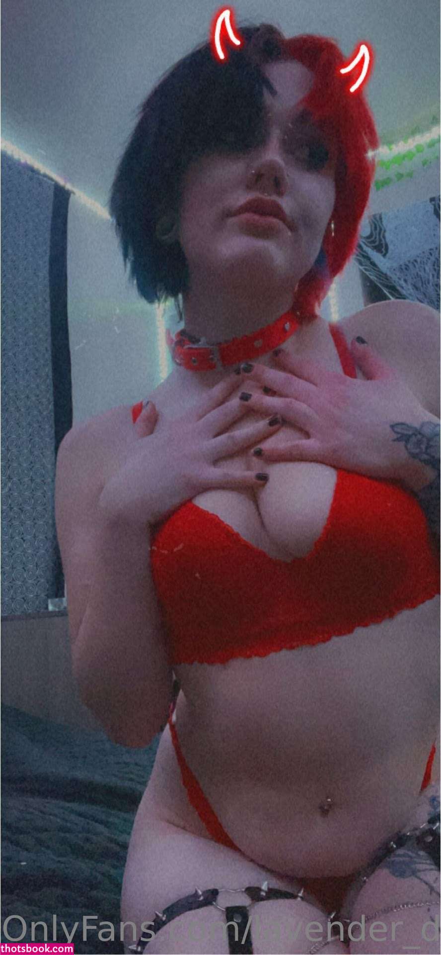 Lavender Daydream Photo #9