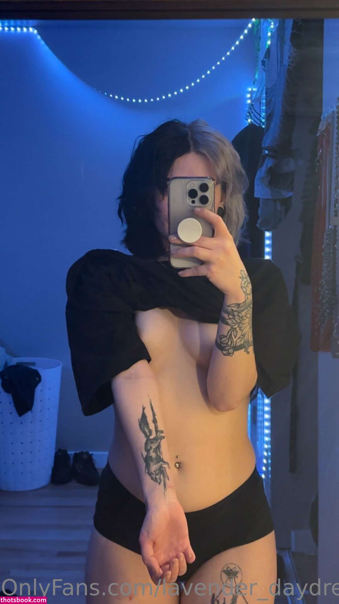 Lavender Daydream Photo #27