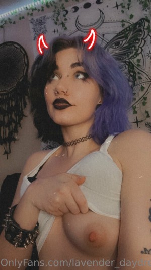 Lavender Daydream Photo #34