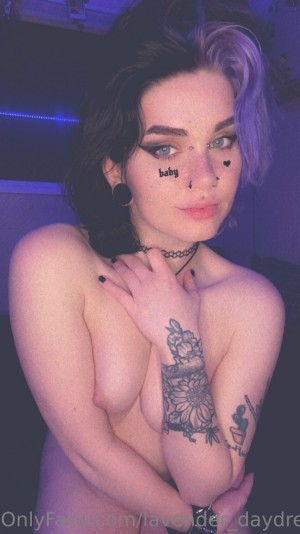 Lavender Daydream Photo #39