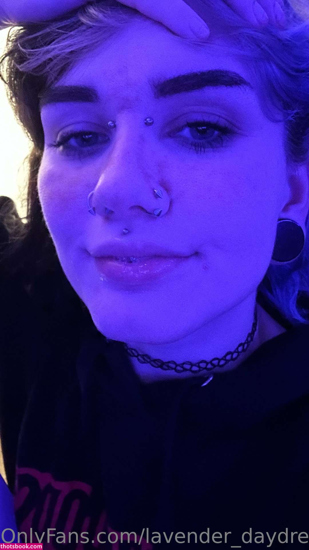 Lavender Daydream Photo #93