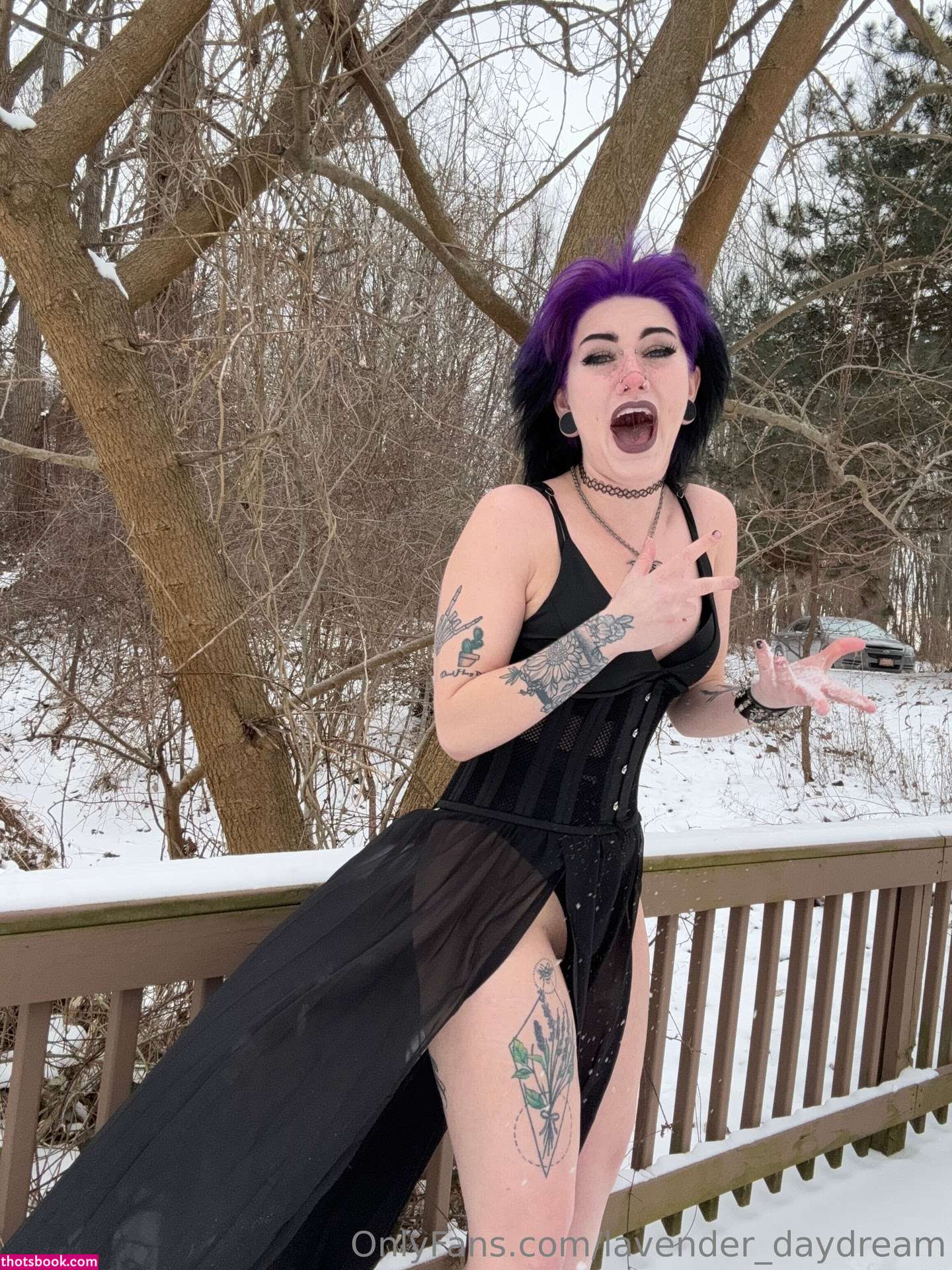 Lavender Daydream Photo #141