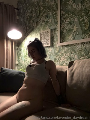 Lavender Daydream Photo #156