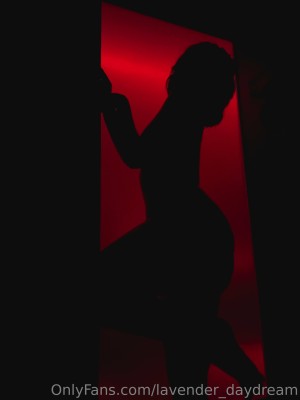 Lavender Daydream Photo #168