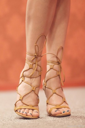 Ibicella Fr Photo #10