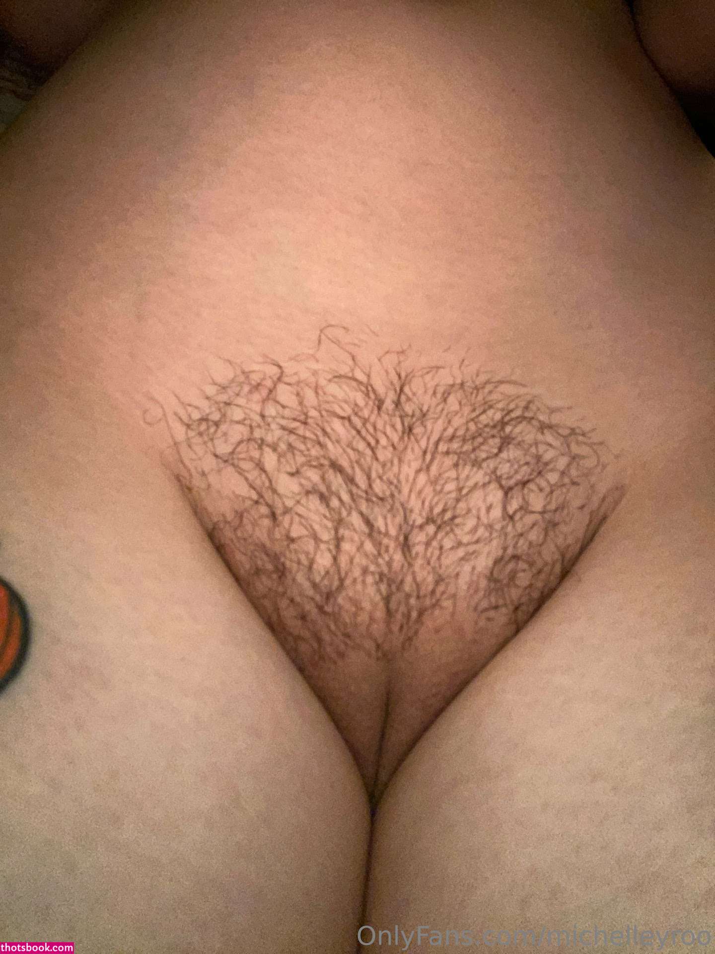 Michelleyroo Photo #21