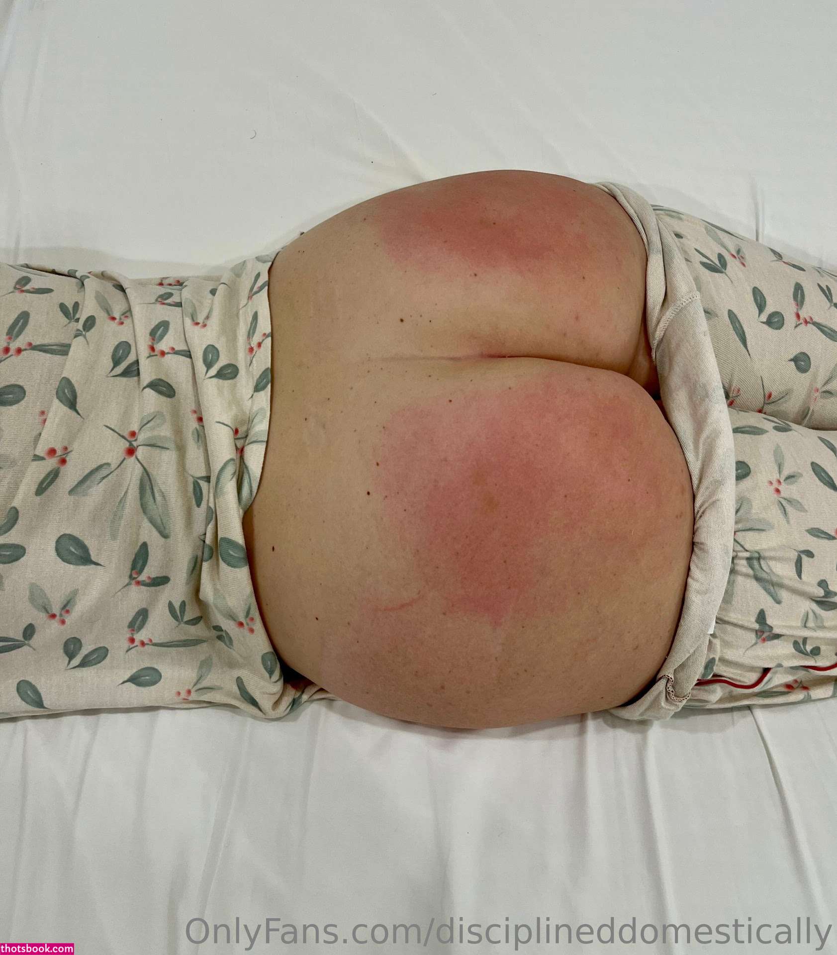 Ciplined Domestically Photo #9