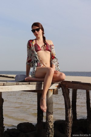 Ibicella Fr Photo #94