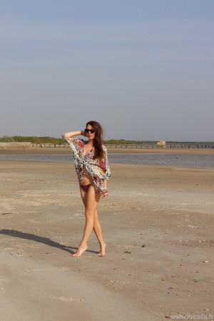 Ibicella Fr Photo #99