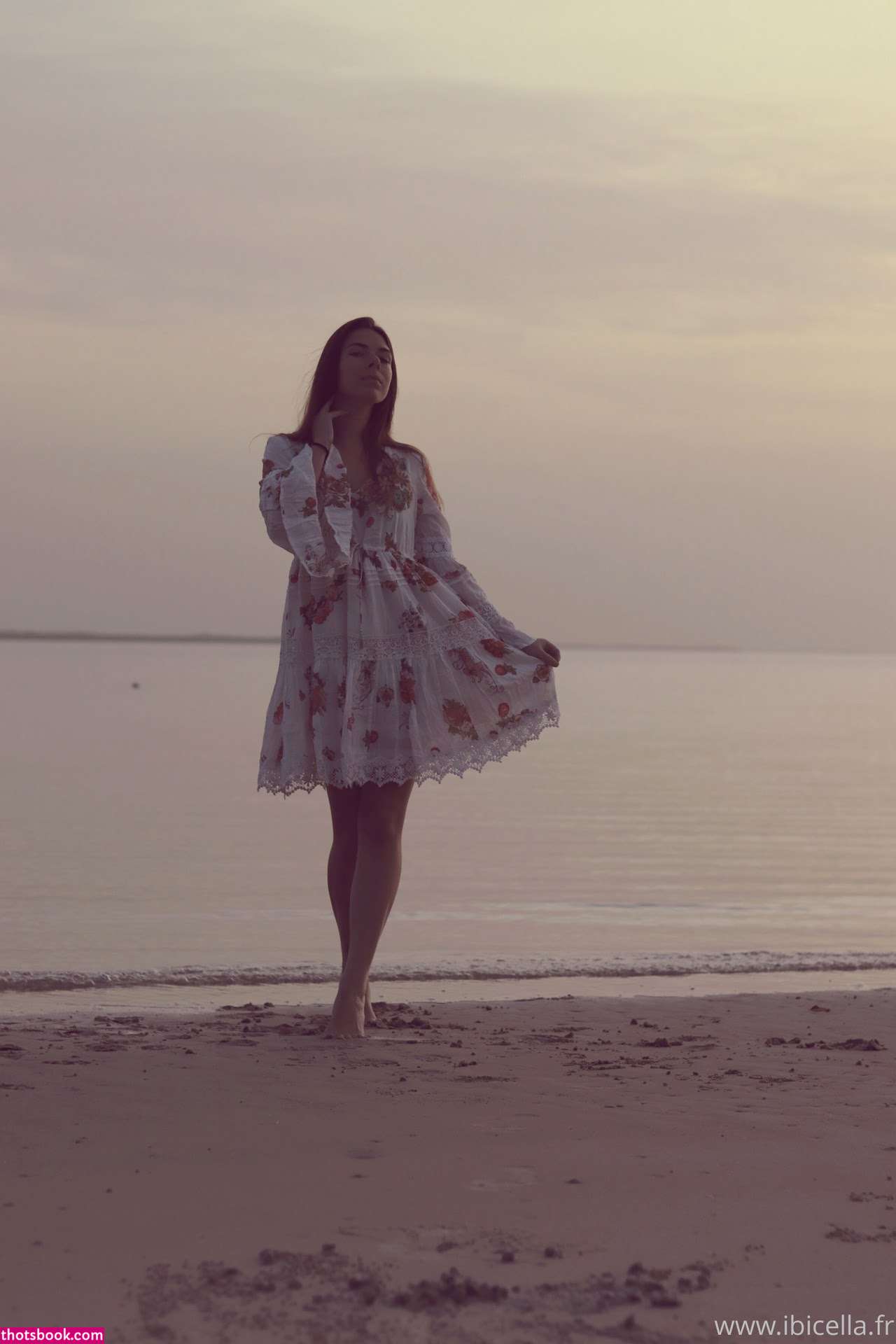 Ibicella Fr Photo #129