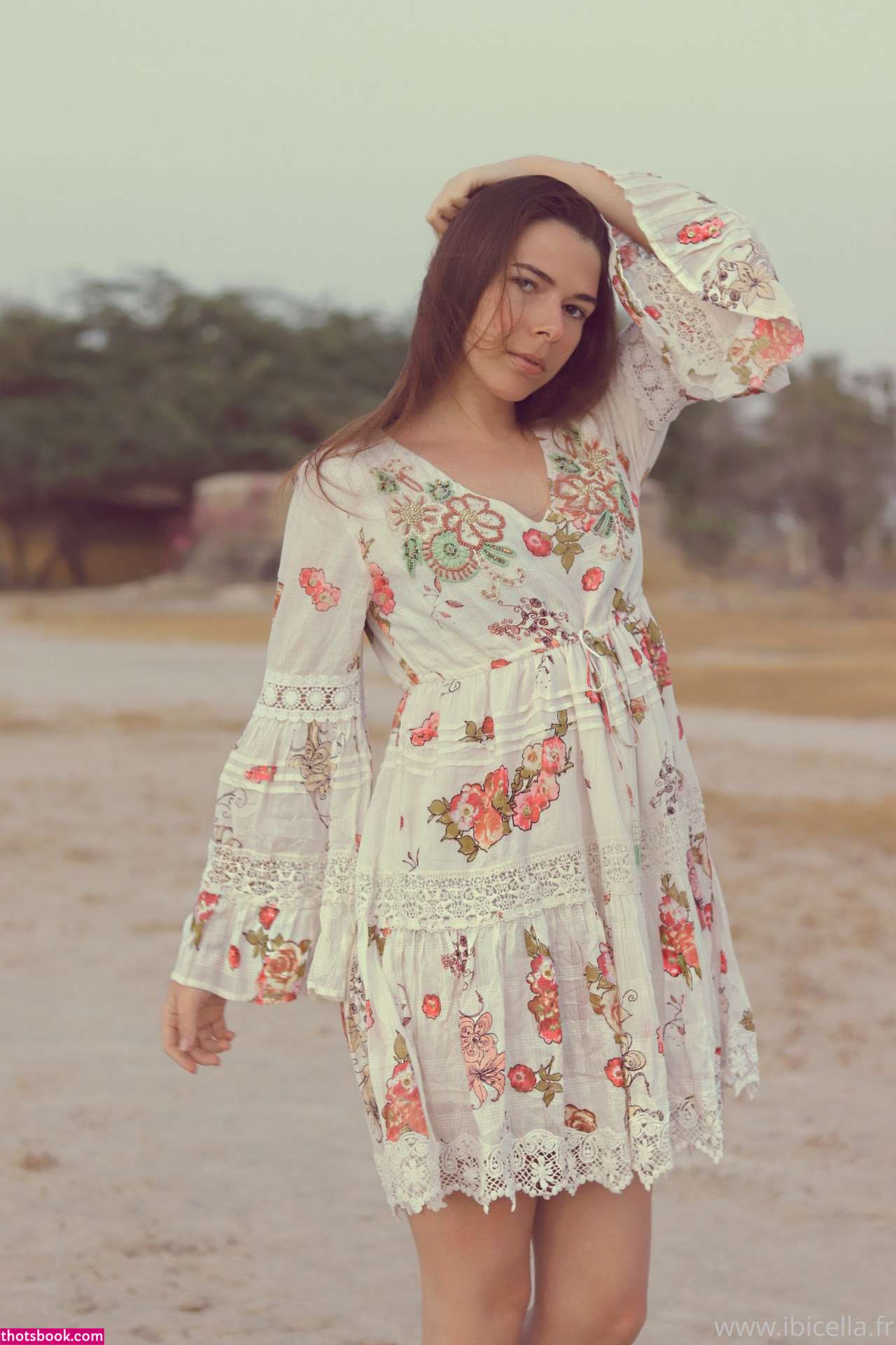 Ibicella Fr Photo #131