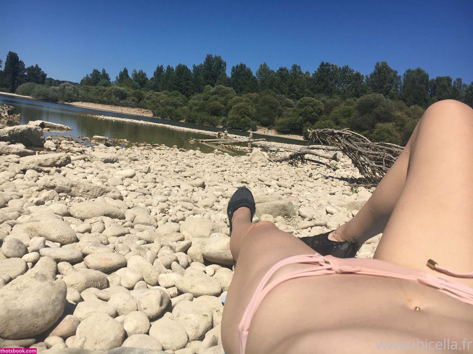 Ibicella Fr Photo #174