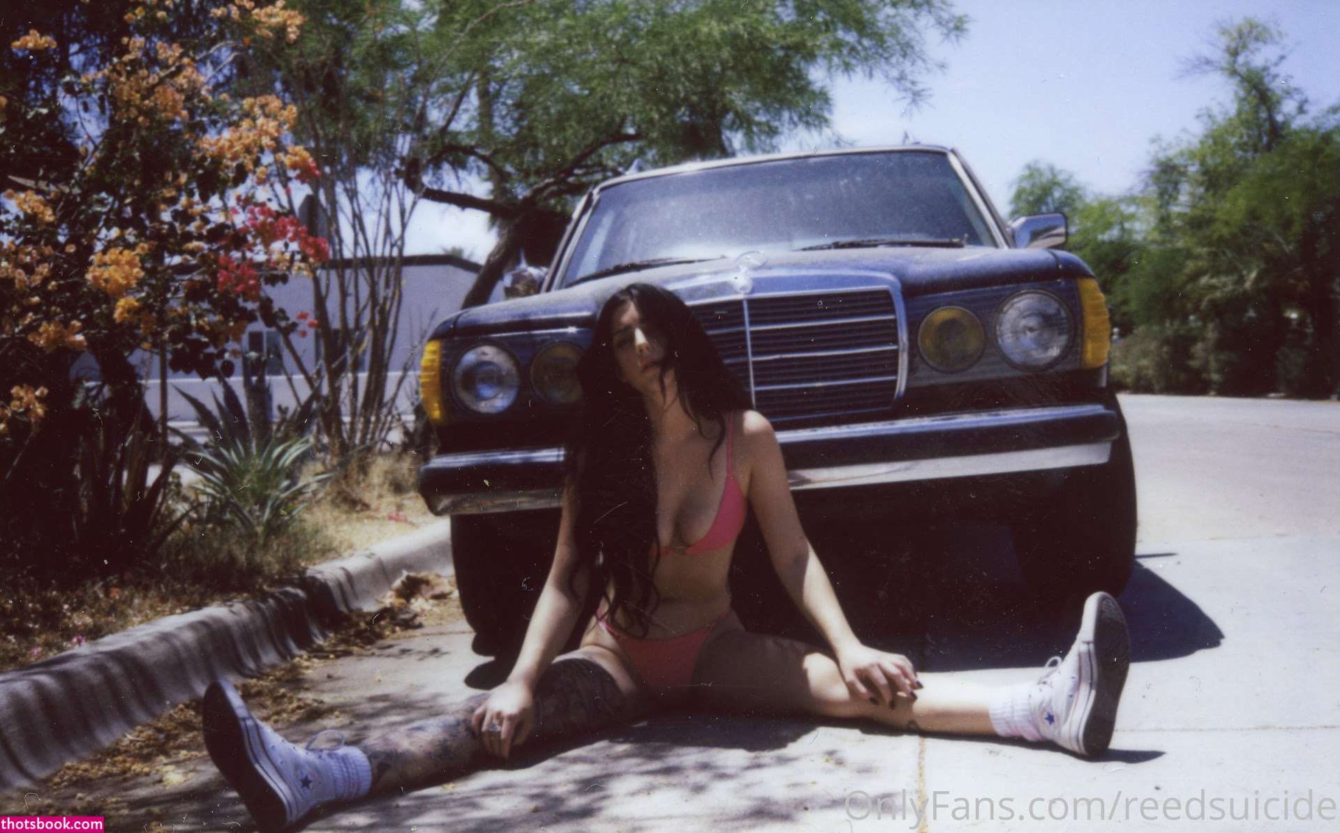 Reed Suicide Photo #21