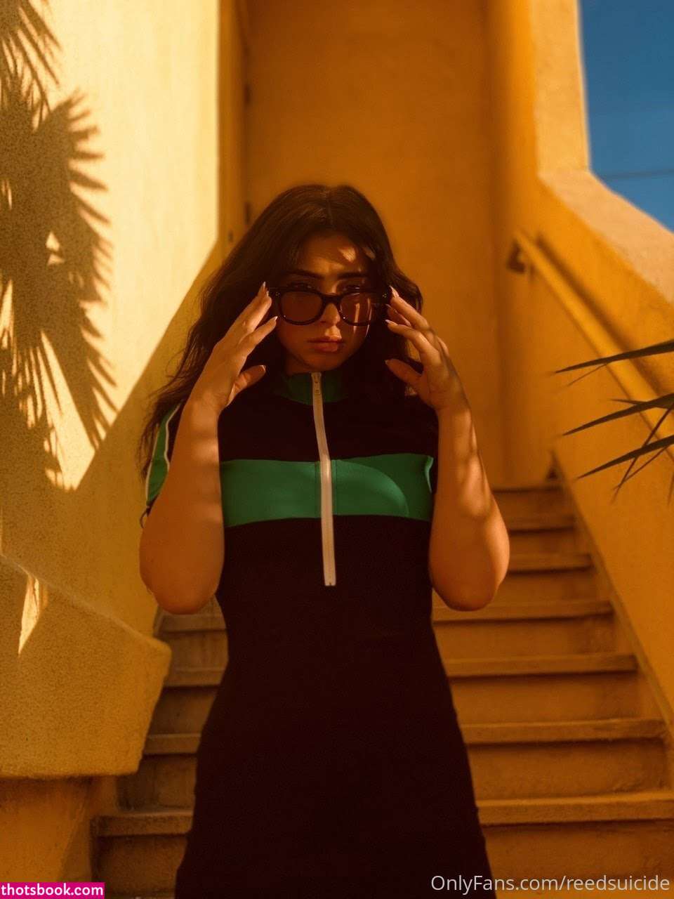 Reed Suicide Photo #29