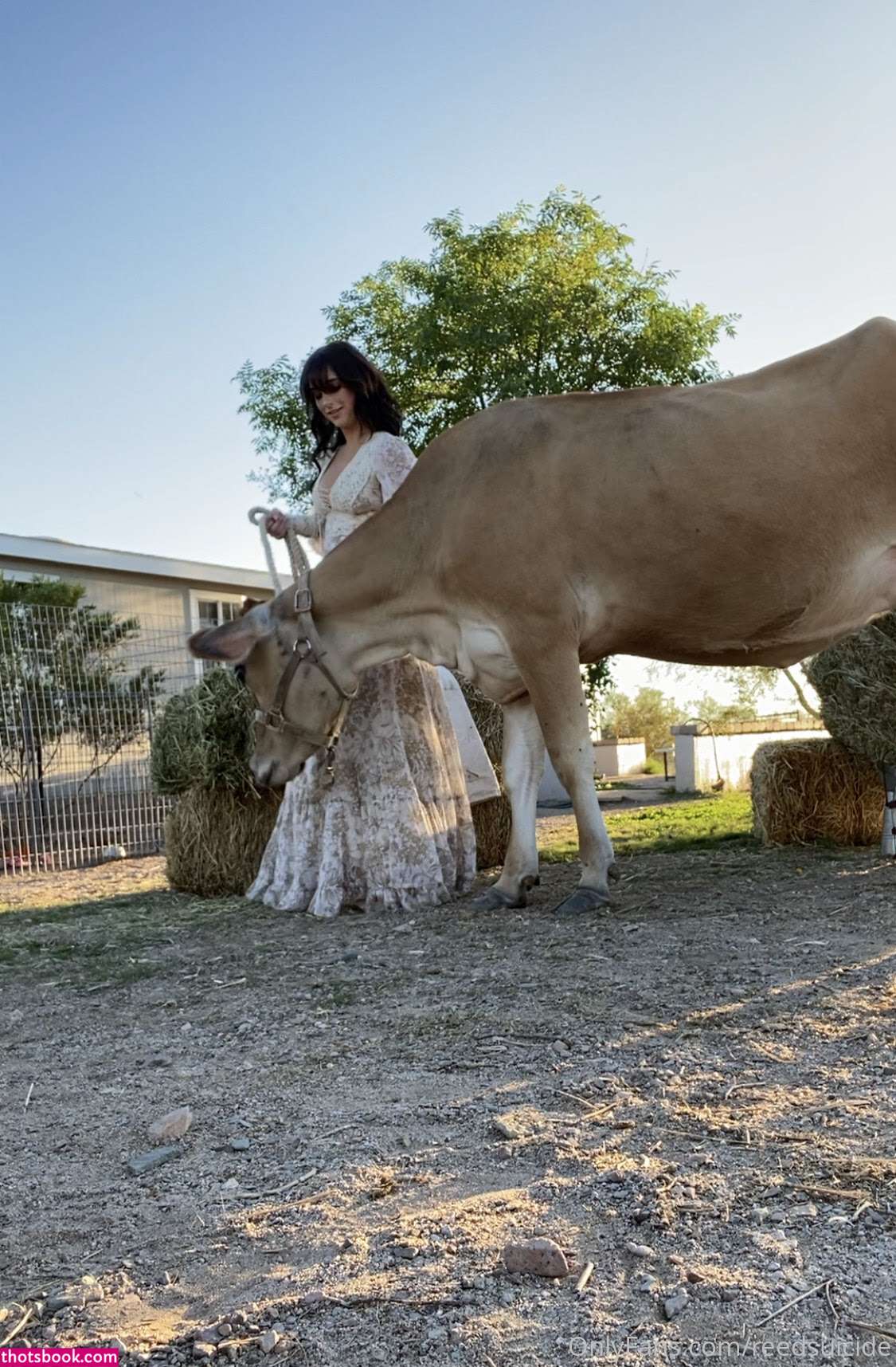 Reed Suicide Photo #150