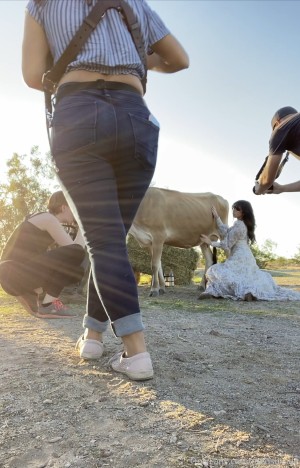 Reed Suicide Photo #143