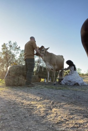 Reed Suicide Photo #152