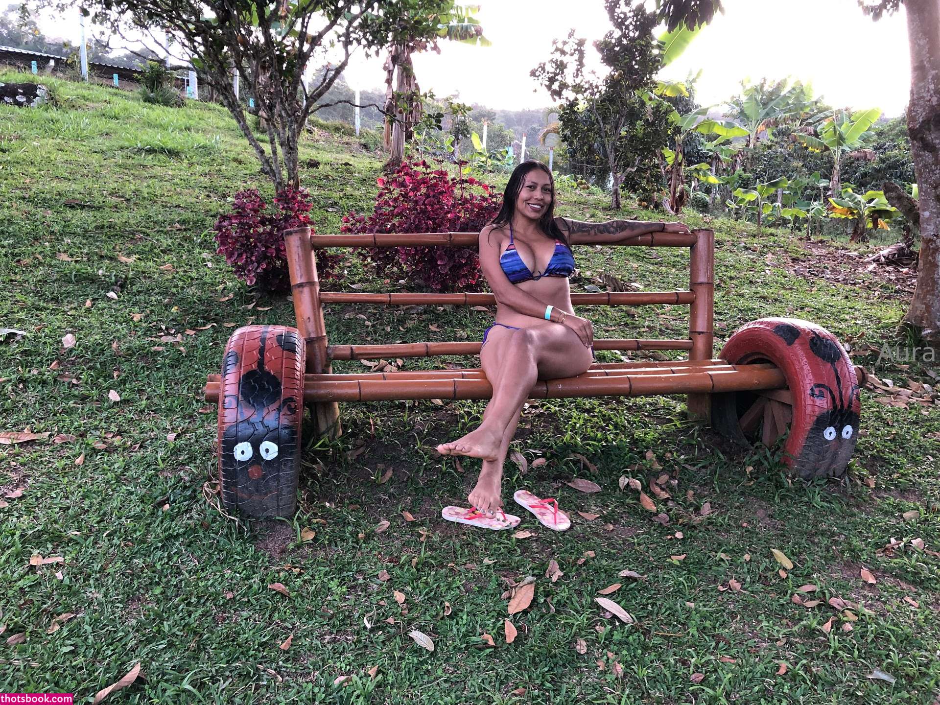 Qatecorrea Photo #52