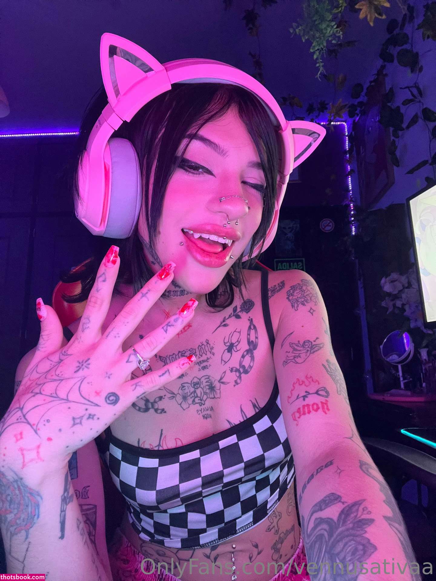 Vennussativa Photo #34