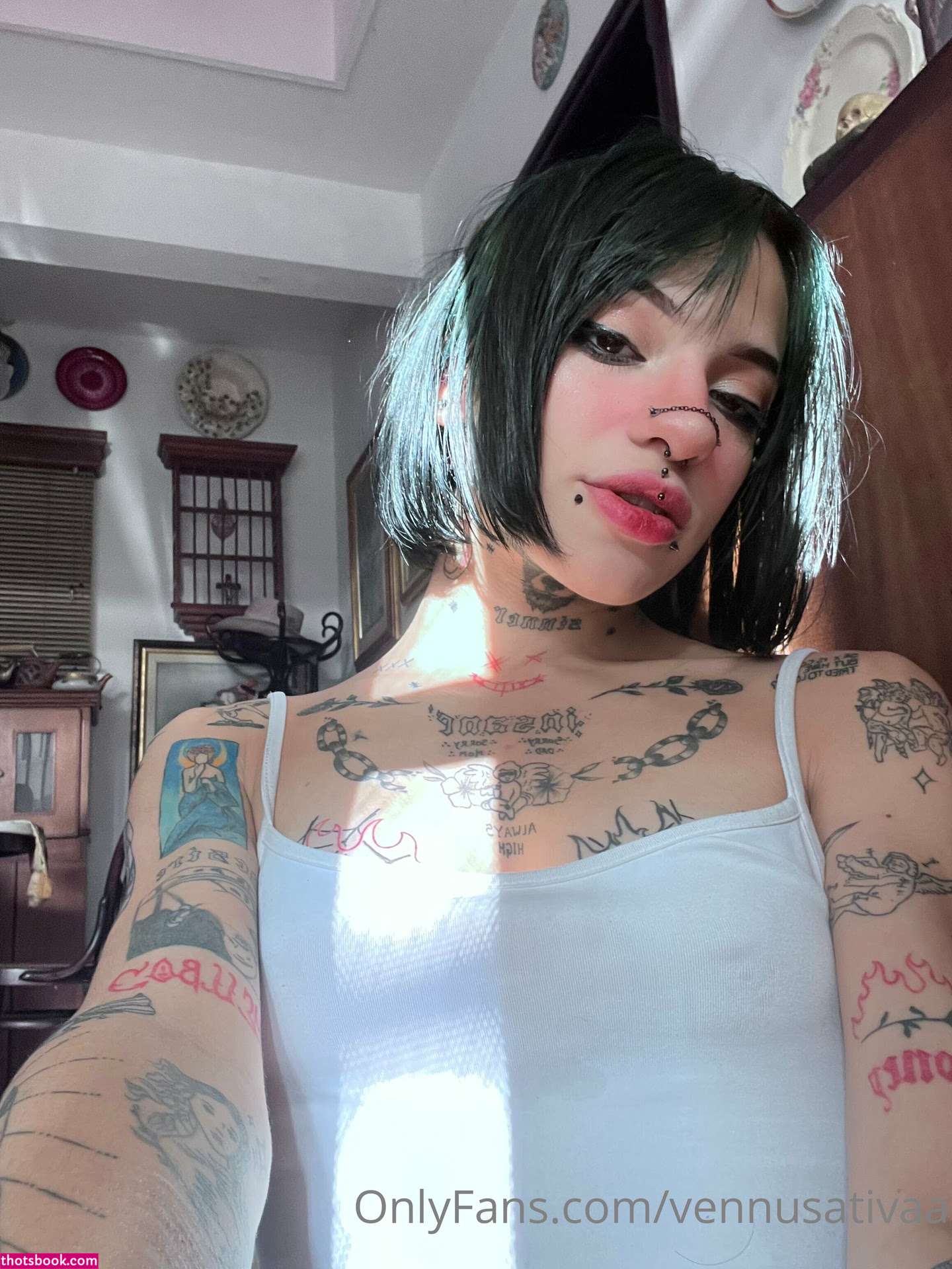 Vennussativa Photo #61