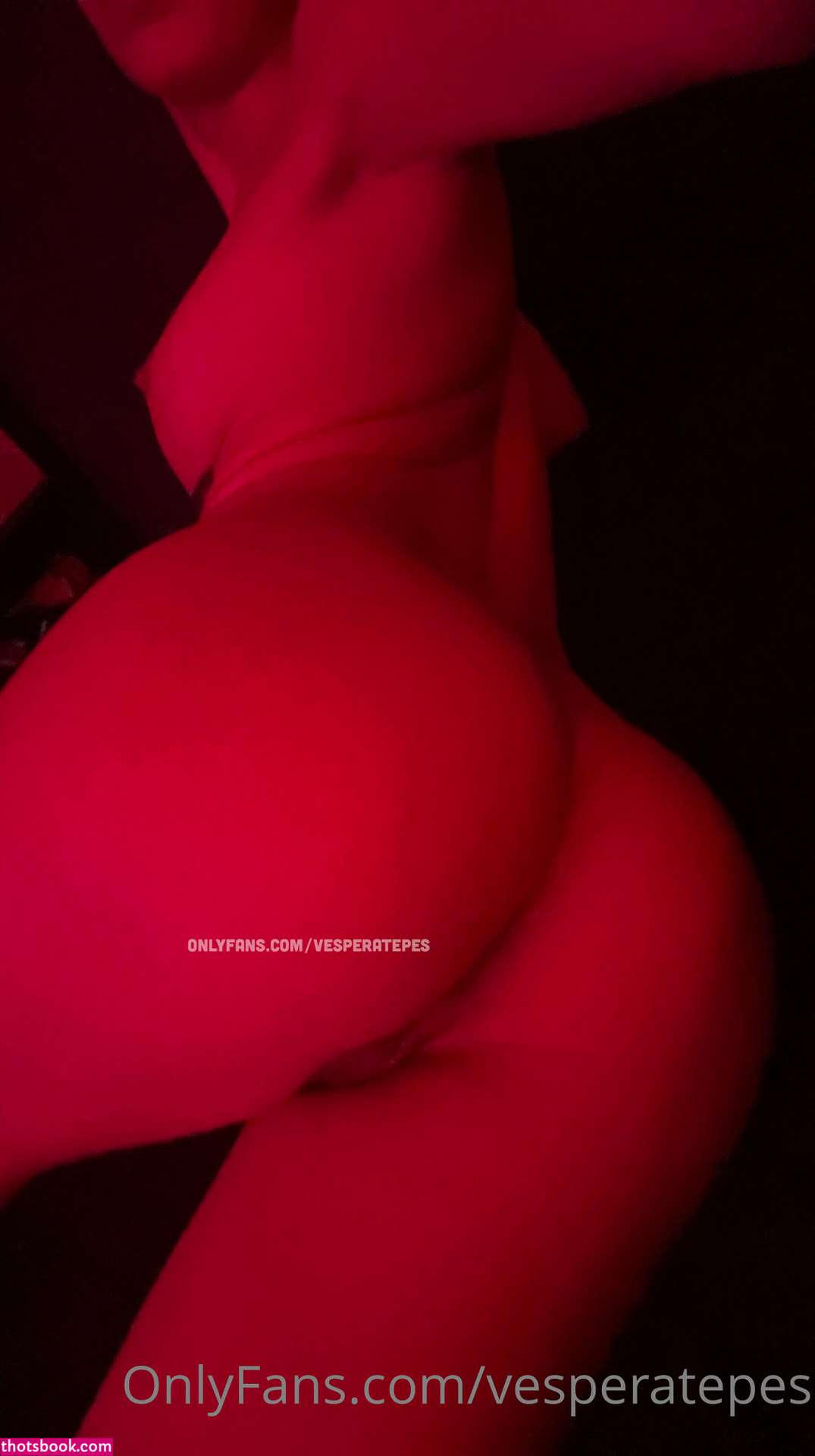 Vesperatepes Photo #128