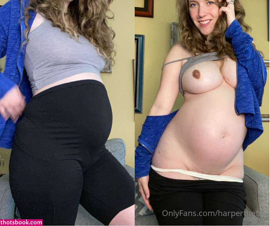 Harper the Fox Photo #8