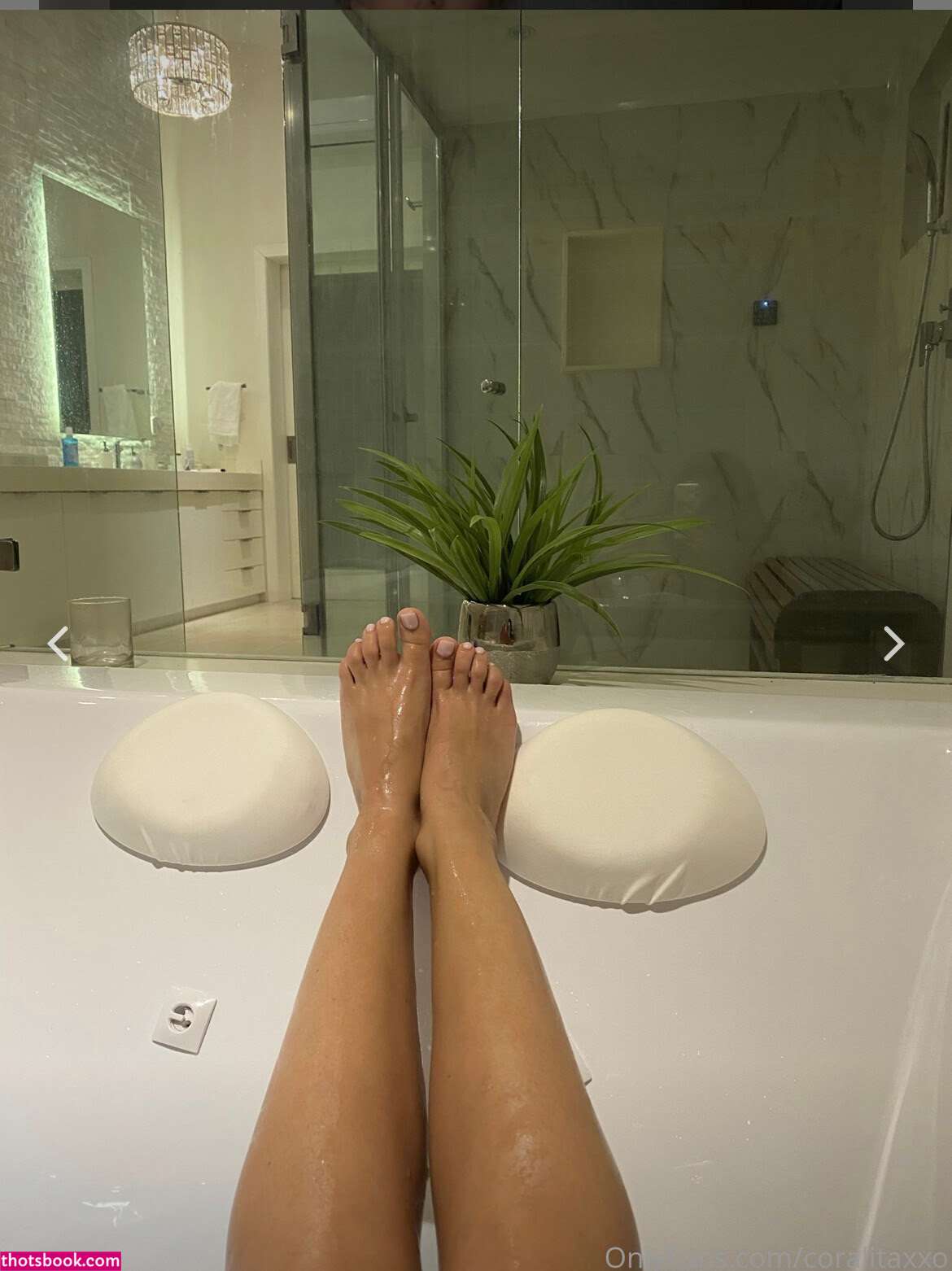 Coralitaxxo Photo #72