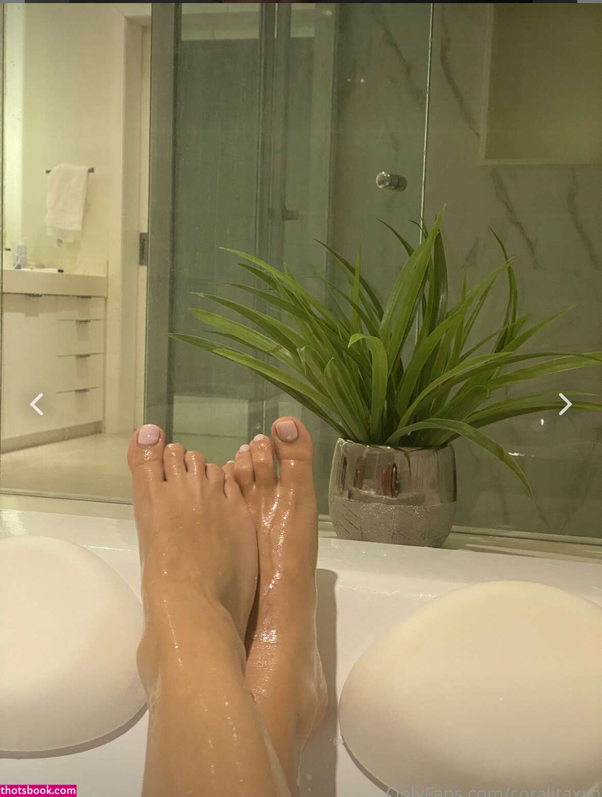 Coralitaxxo Photo #73