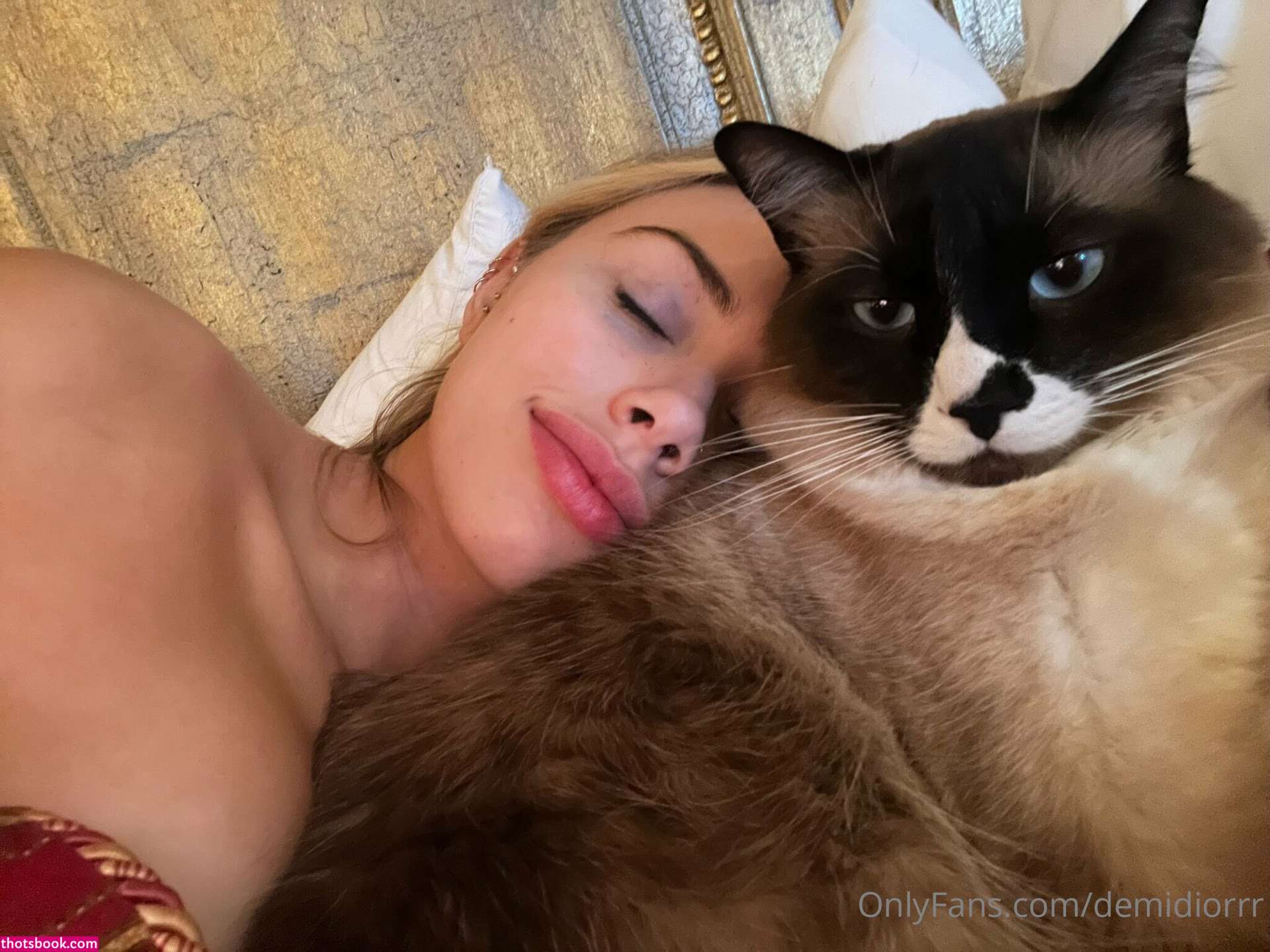 Demidiorxo Photo #55