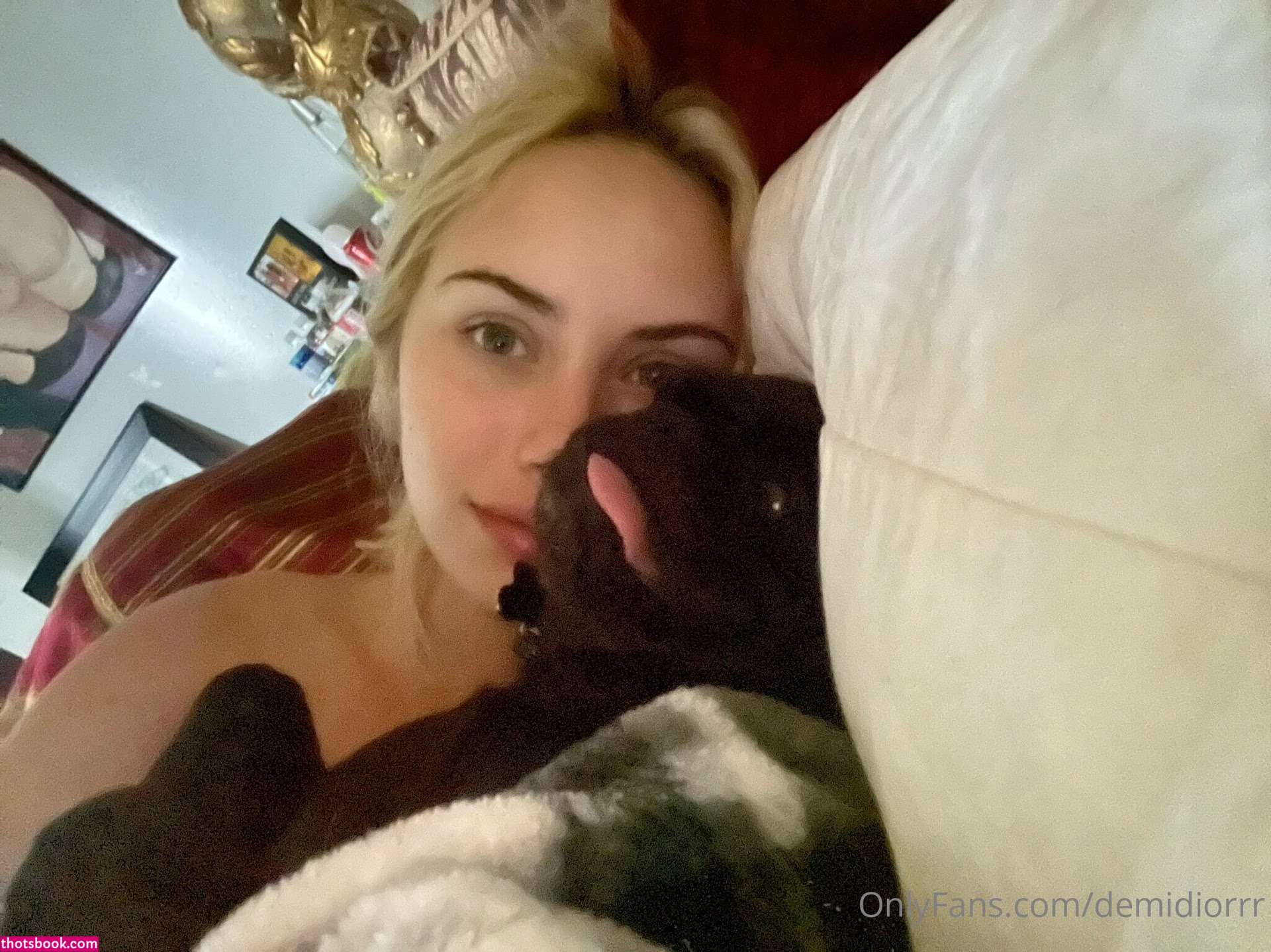 Demidiorxo Photo #68