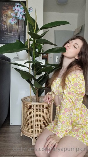 Aryapumpkin Photo #3