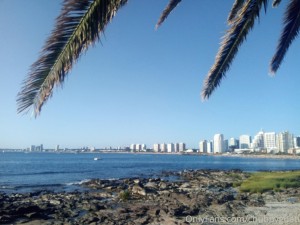 chubbyguati Photo #26