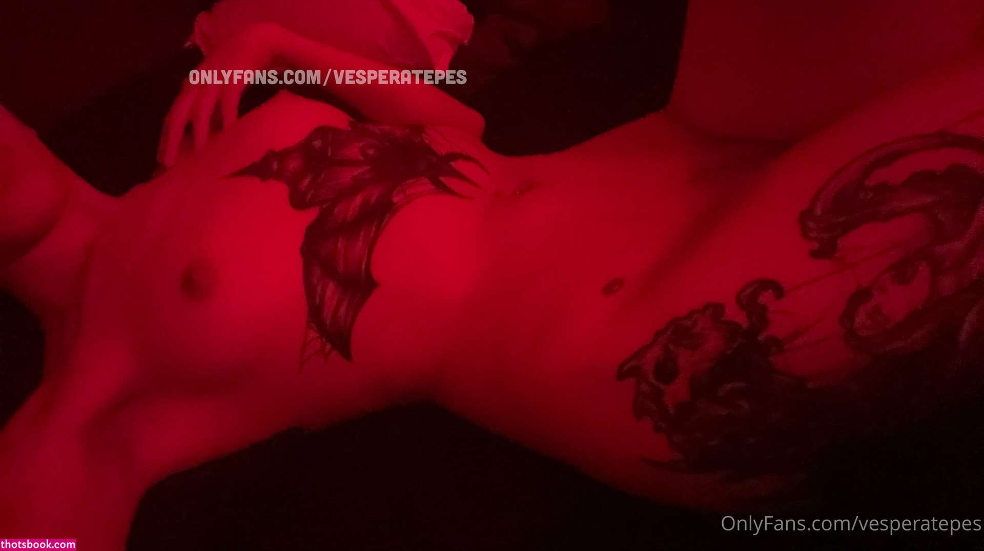 Vesperatepes Photo #5