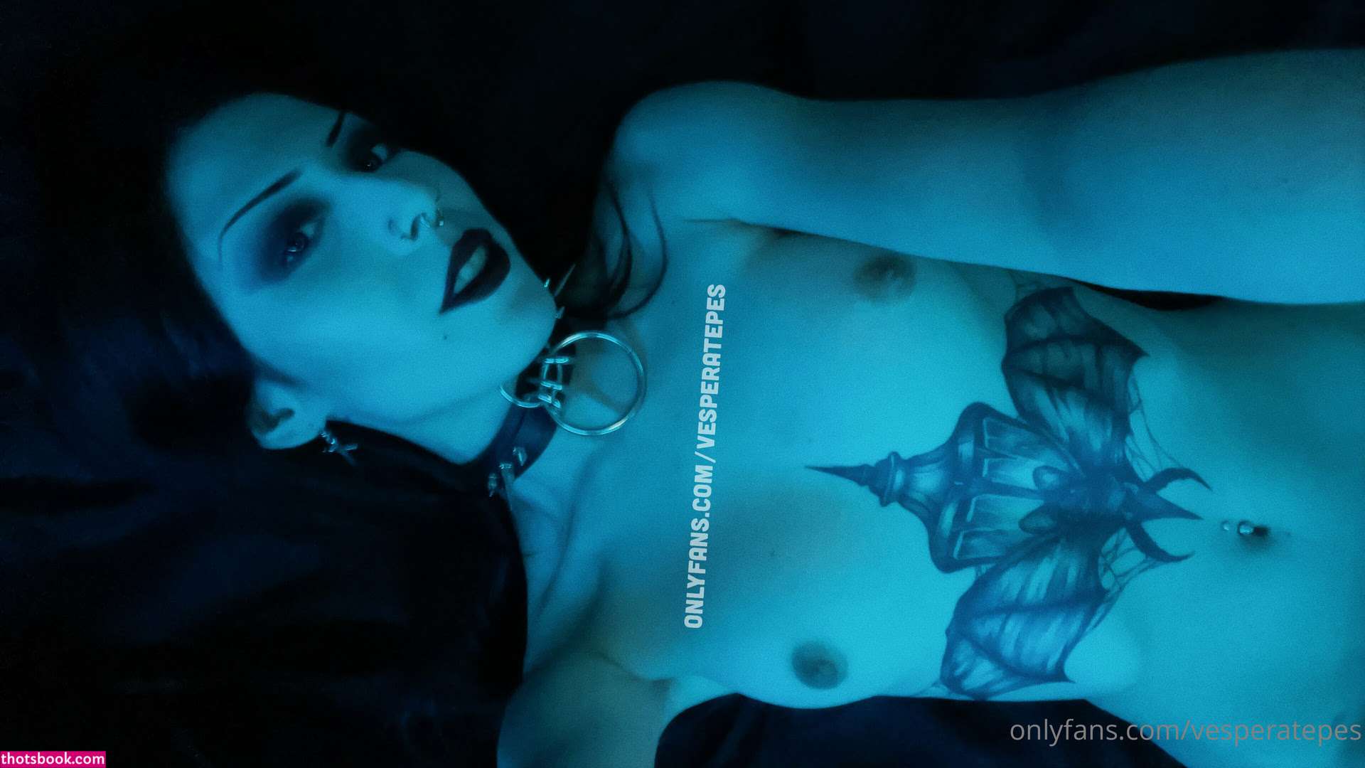 Vesperatepes Photo #9