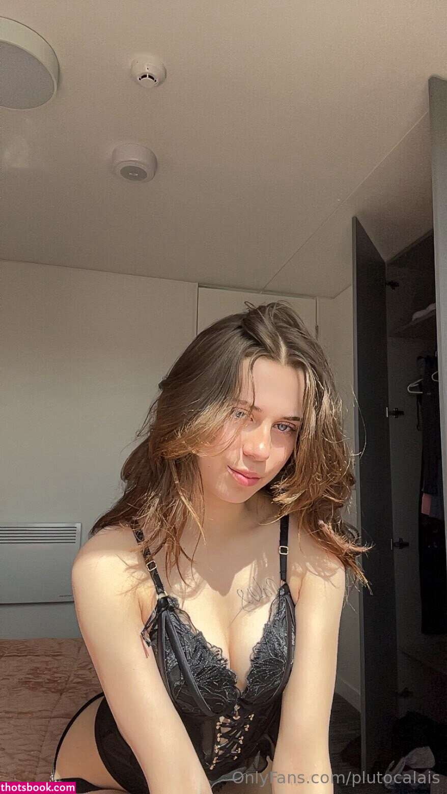 plutocalais Photo #6