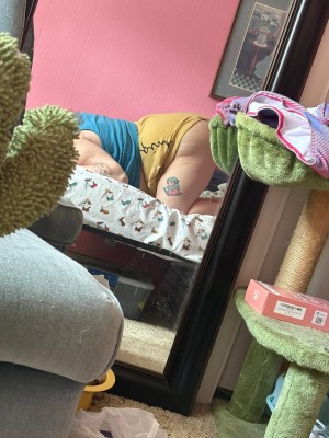 cheetobutthole Photo #24