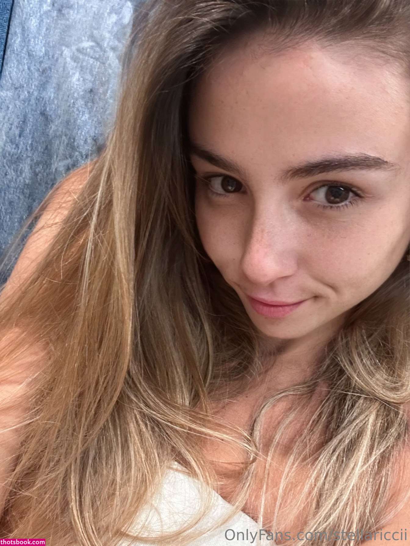 Stellariccii Photo #2