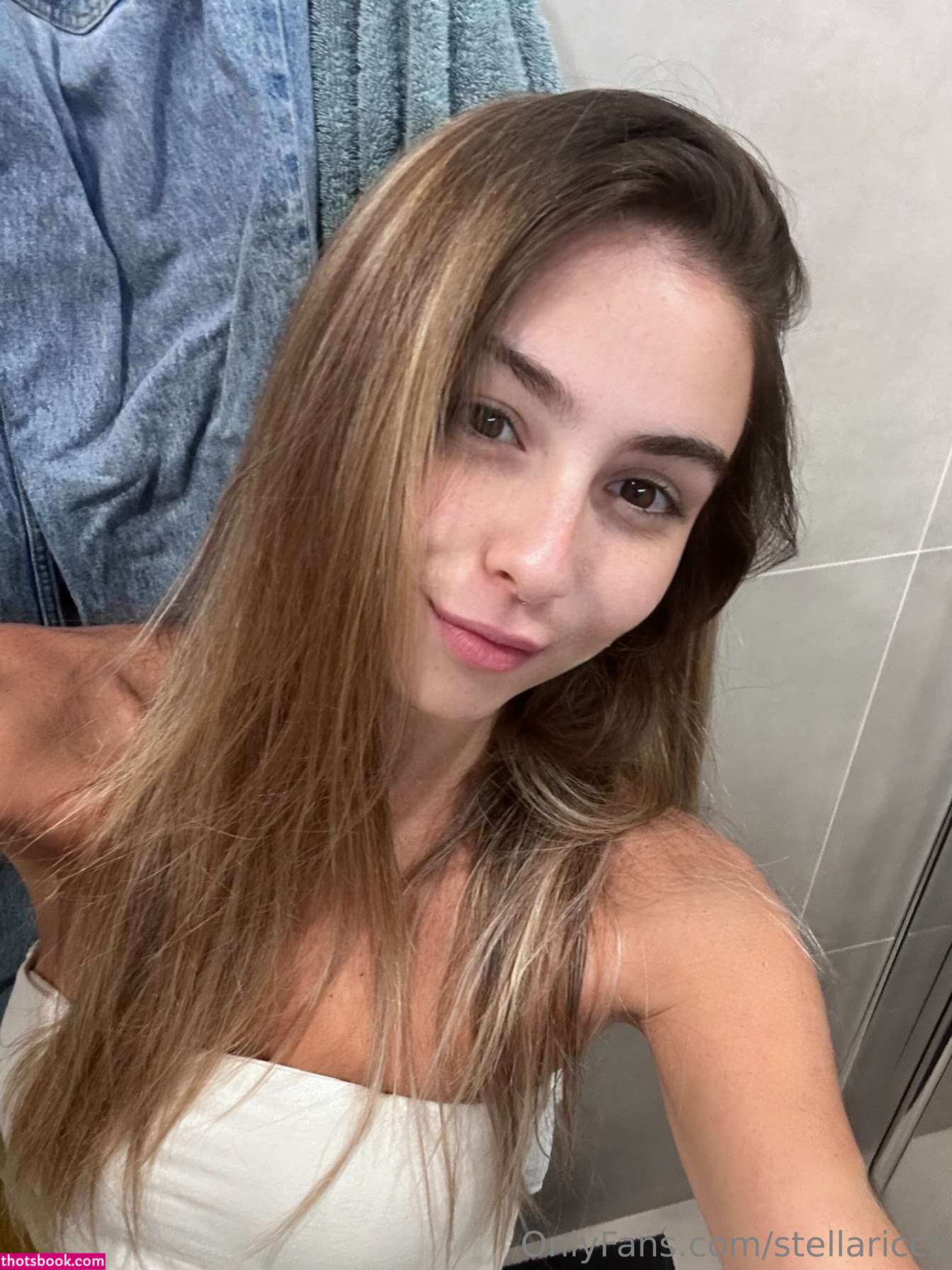 Stellariccii Photo #5