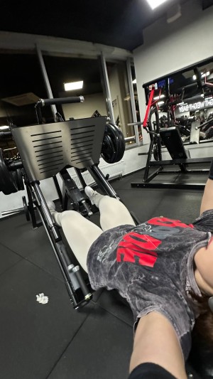 Bidibolder Photo #16